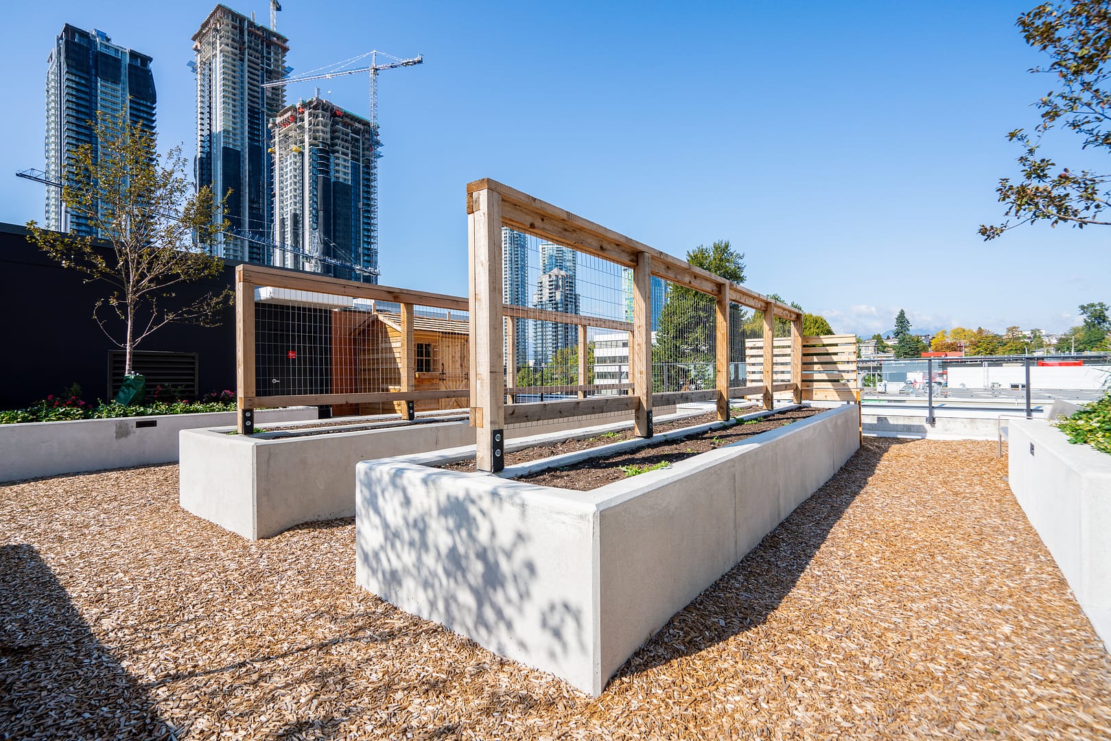 Unit 3110 2181 Madison Avenue Burnaby-37