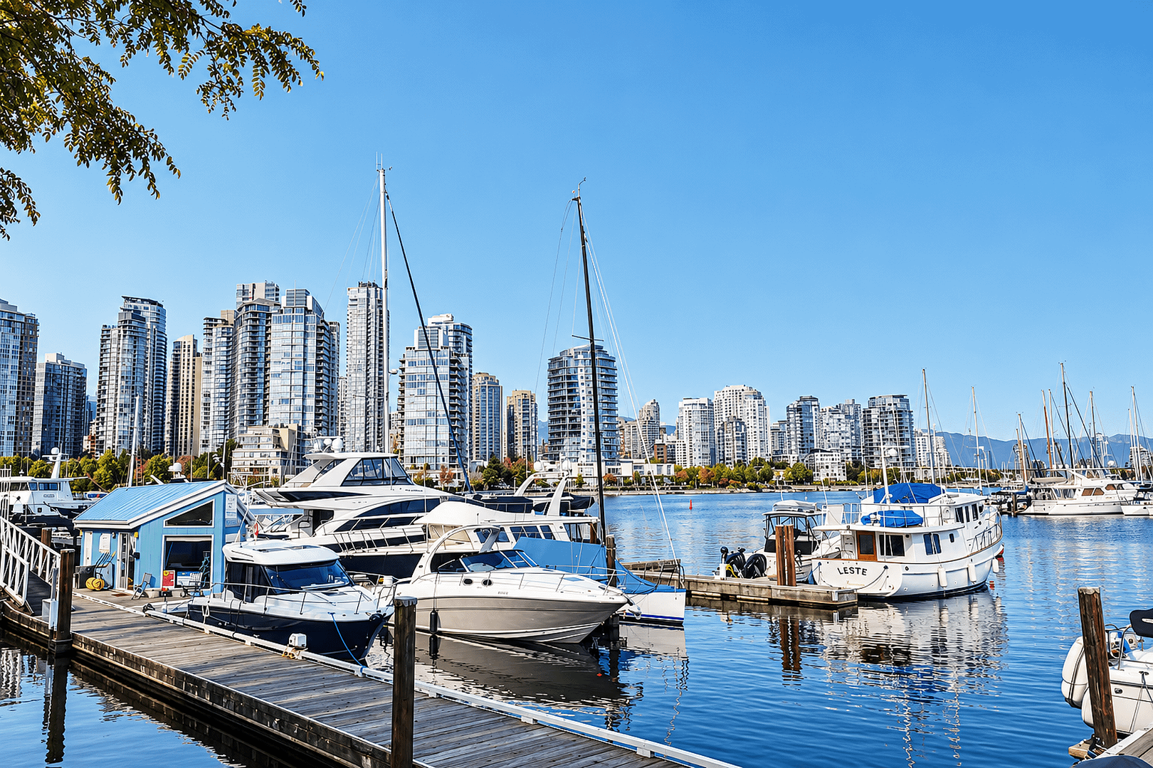 Sunny Marina Skyline with Moored Yachts (1)